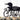 Close up of family name on our loon metal sign, in matte black powder coat.