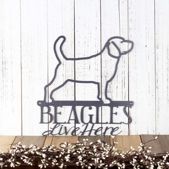Beagles live here metal wall art, with a Beagle dog silhouette, in silver vein powder coat. Placed against a white wood wall.