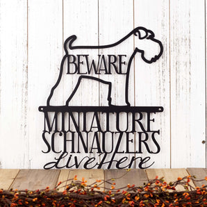 Miniature Schnauzer Lives Here Metal Sign with Beware and Natural Long Tail