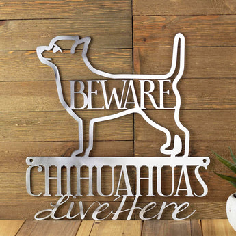 Chihuahuas live here metal sign, with beware, in raw steel.