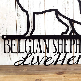 Close up of Belgian Shepherds Live Here metal wall decor, in matte black powder coat.