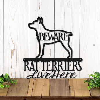 Rat Terriers Live Here metal wall art, with Beware, in matte black powder coat. 