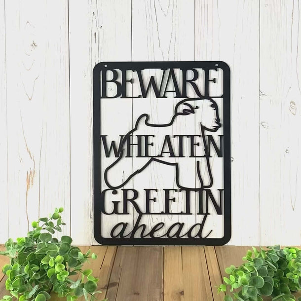Video of Beware Wheaten Greetin Ahead metal sign, in matte black powder coat.