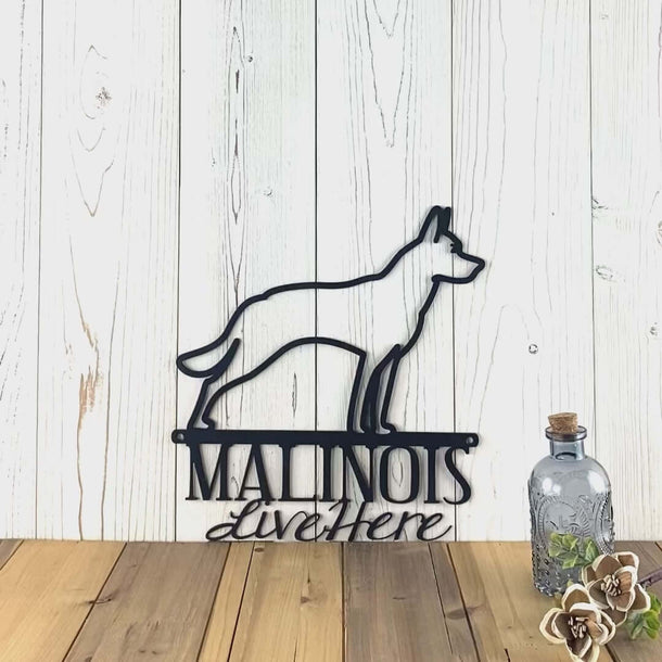Video of Malinois live here metal wall art, in matte black powder coat.